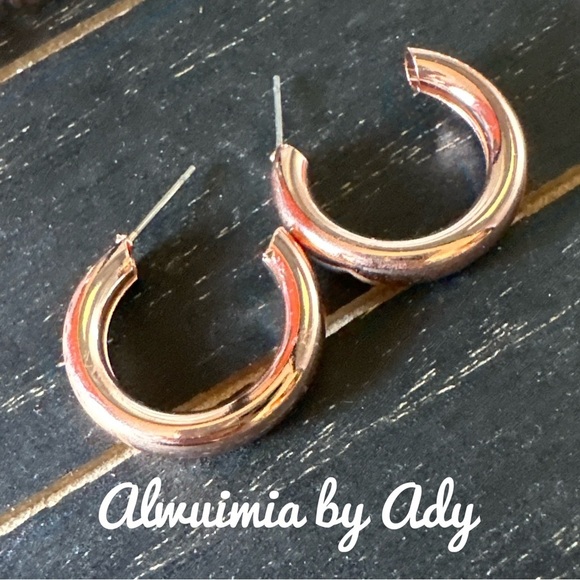 Rose Gold Hoop Earrings - Picture 1 of 1